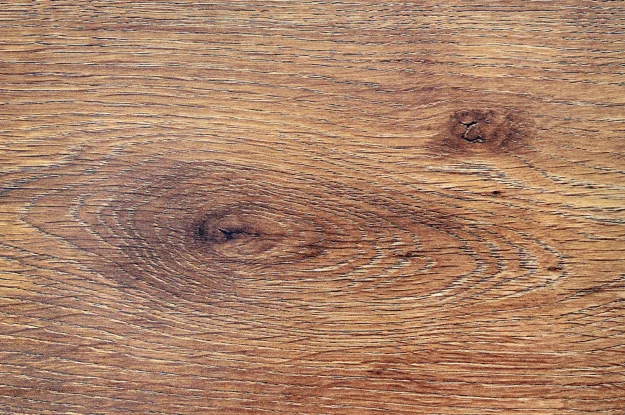 blog-wood-tree-grain-625.width-415.format, Monarch Floors 1953 Inc, Monarch, hardwood floor store, hardwood store, the hardwood flooring store, hardwood flooring store, hardwood flooring store near me, hardwood floor store near me,hardwood floor store, hardwood floor store near me, the hardwood floor store, hardwood floor store discount code, hardwood floor stores near me, hardwood floor store reviews, hardwood floors edmonton, hardwood flooring edmonton, best hardwood flooring edmonton, edmonton hardwood floor store, edmonton hardwood flooring near me