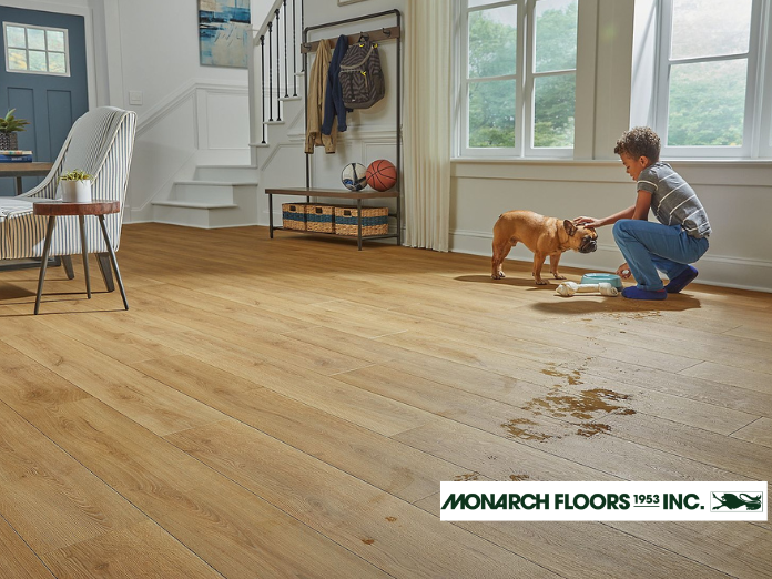 Monarch Floors, Monarch Floors Edmonton, Monarch Floors Canada, Monarch Floors Near Me, Monarch Floors 1953 Inc, carpet store, carpet store near me, the carpet store, carpet store calgary, carpet store near, carpet flooring store near me, carpet supply st