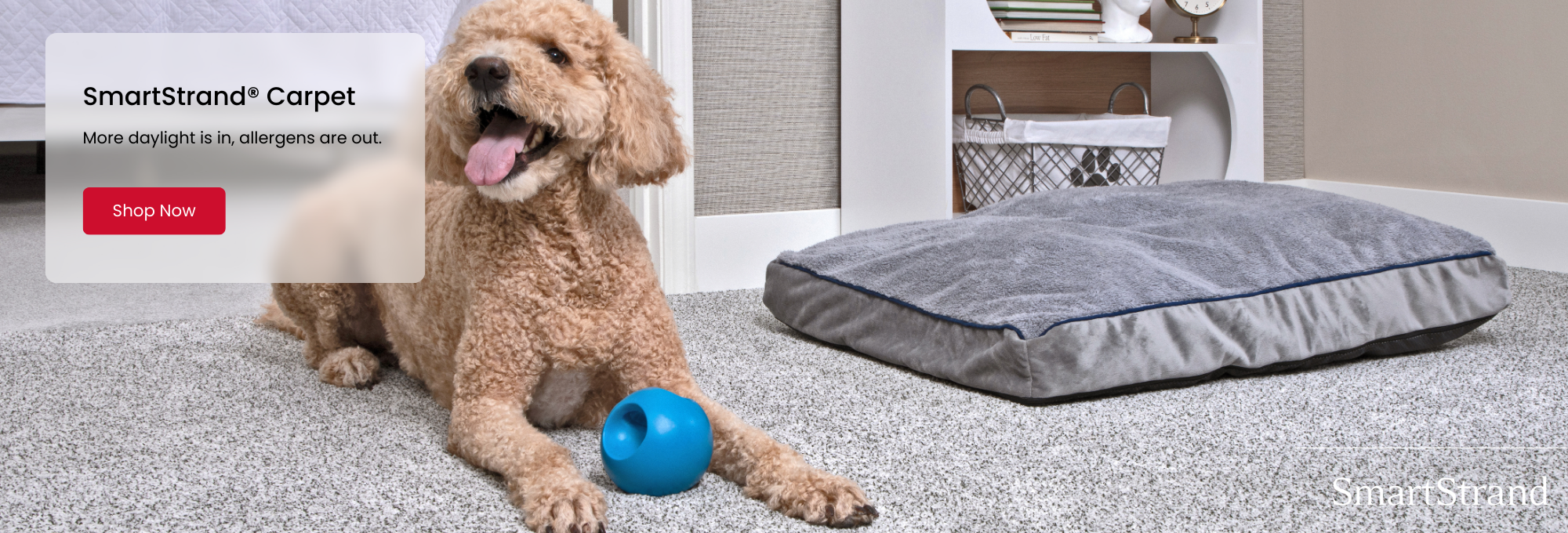 Mohawk SmartStrand Carpet Promotion in Edmonton, Alberta