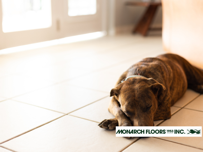 Monarch Floors 1953 Inc, Monarch, Monarch Floors, Monarch Floors Edmonton, tile flooring edmonton, edmonton, near me, tile floors, tile flooring store, tile flooring store edmonton, tile flooring store near me edmonton ab, best edmonton tile store, vinyl