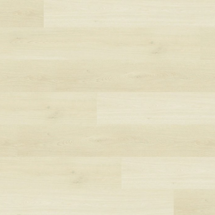 Mohawk Boardwalk Collective