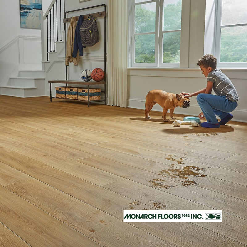 Monarch Floors 1953 Inc, Monarch, hardwood floor store edmonton, edmonton, edmonton alberta, hardwood floor store, hardwood store, the hardwood flooring store, hardwood flooring store, hardwood flooring store near me, hardwood floor store near me,hardwood